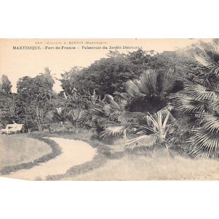 Rare collectable postcards of Martinique. Vintage Postcards of Martinique
