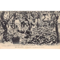 Rare collectable postcards of Martinique. Vintage Postcards of Martinique