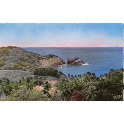 Rare collectable postcards of Martinique. Vintage Postcards of Martinique