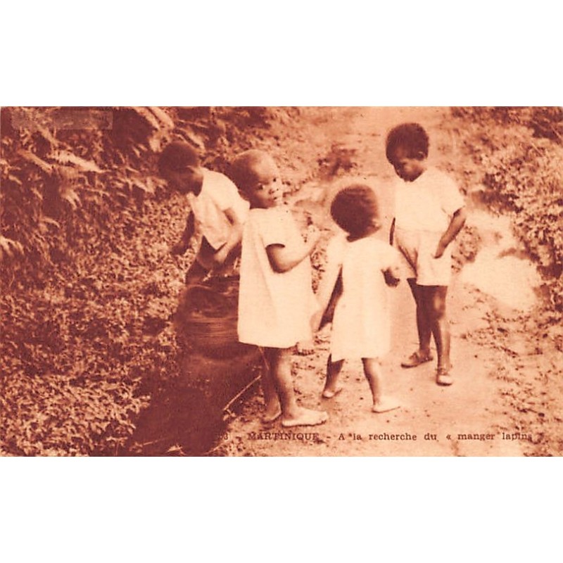 Rare collectable postcards of Martinique. Vintage Postcards of Martinique