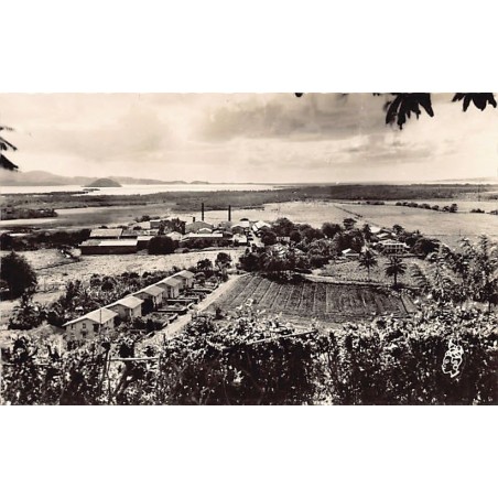 Rare collectable postcards of Martinique. Vintage Postcards of Martinique