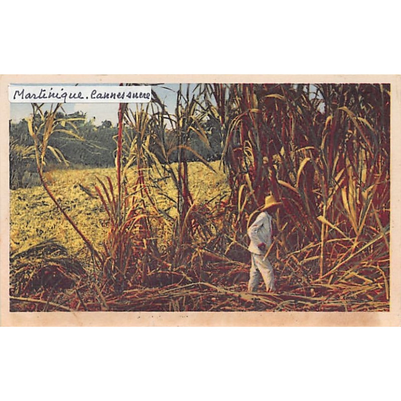 Rare collectable postcards of Martinique. Vintage Postcards of Martinique