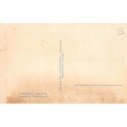 Rare collectable postcards of Martinique. Vintage Postcards of Martinique