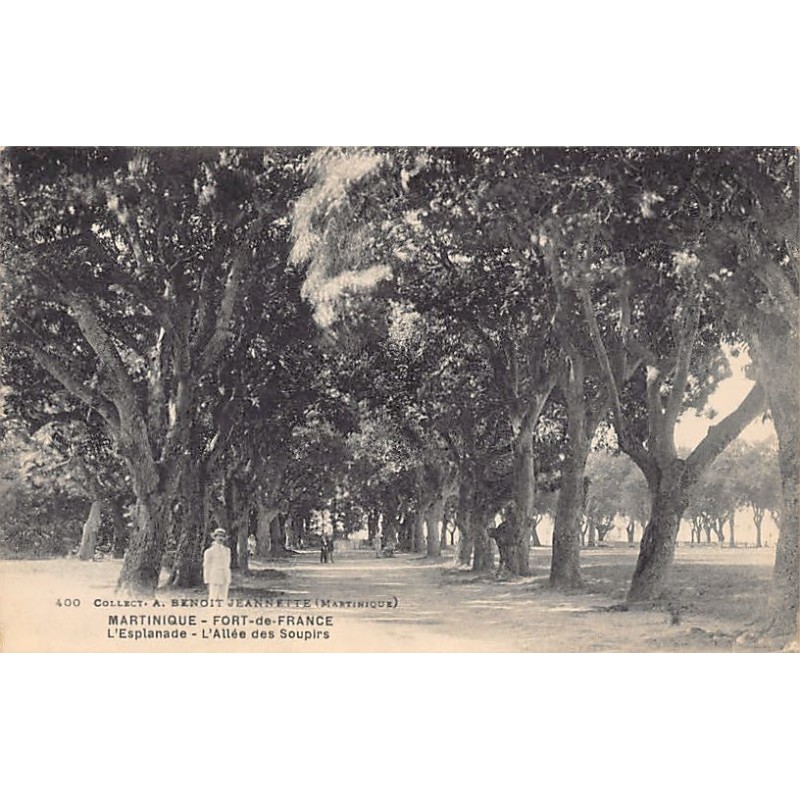 Rare collectable postcards of Martinique. Vintage Postcards of Martinique