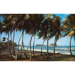 Rare collectable postcards of Martinique. Vintage Postcards of Martinique