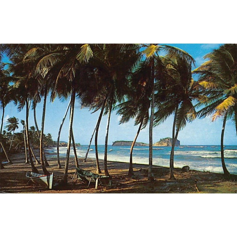 Rare collectable postcards of Martinique. Vintage Postcards of Martinique