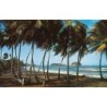 Rare collectable postcards of Martinique. Vintage Postcards of Martinique