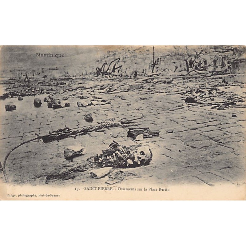 Rare collectable postcards of Martinique. Vintage Postcards of Martinique