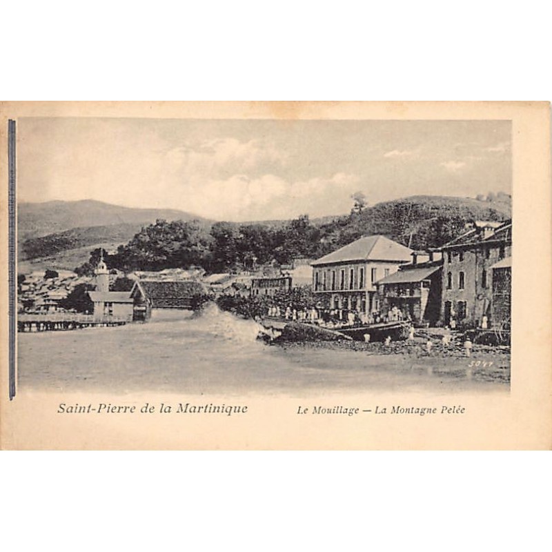Rare collectable postcards of Martinique. Vintage Postcards of Martinique