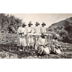 Rare collectable postcards of Martinique. Vintage Postcards of Martinique