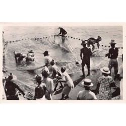 Rare collectable postcards of Martinique. Vintage Postcards of Martinique