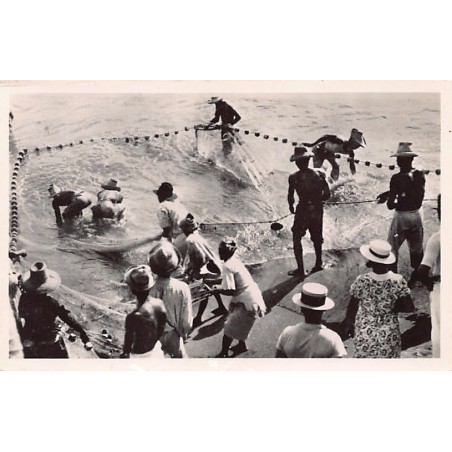 Rare collectable postcards of Martinique. Vintage Postcards of Martinique