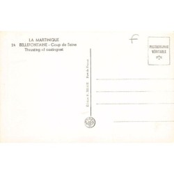 Rare collectable postcards of Martinique. Vintage Postcards of Martinique