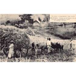 Rare collectable postcards of Martinique. Vintage Postcards of Martinique