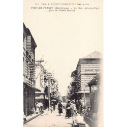 Rare collectable postcards of Martinique. Vintage Postcards of Martinique