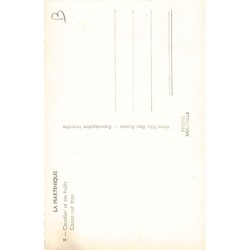 Rare collectable postcards of Martinique. Vintage Postcards of Martinique