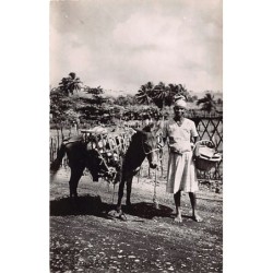 Rare collectable postcards of Martinique. Vintage Postcards of Martinique