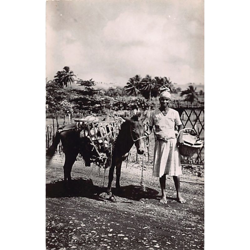 Rare collectable postcards of Martinique. Vintage Postcards of Martinique