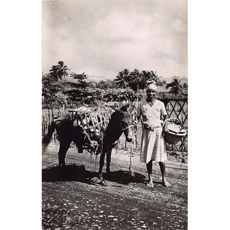 Rare collectable postcards of Martinique. Vintage Postcards of Martinique