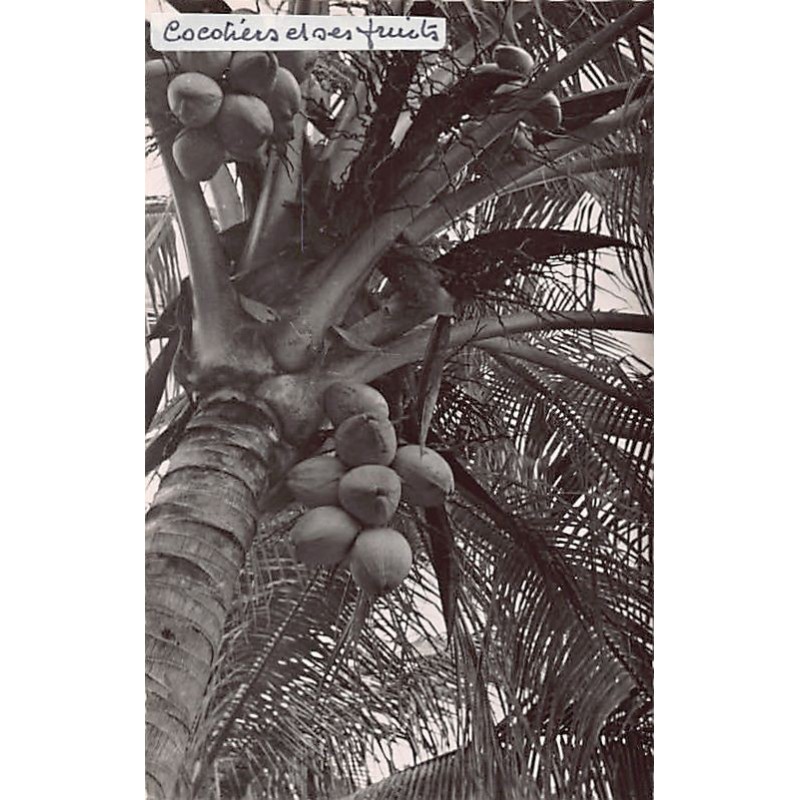 Rare collectable postcards of Martinique. Vintage Postcards of Martinique