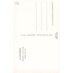 Rare collectable postcards of Martinique. Vintage Postcards of Martinique