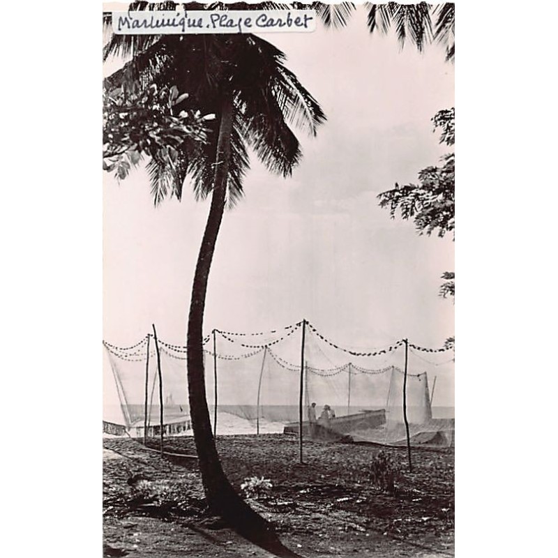 Rare collectable postcards of Martinique. Vintage Postcards of Martinique