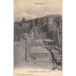 Rare collectable postcards of Martinique. Vintage Postcards of Martinique