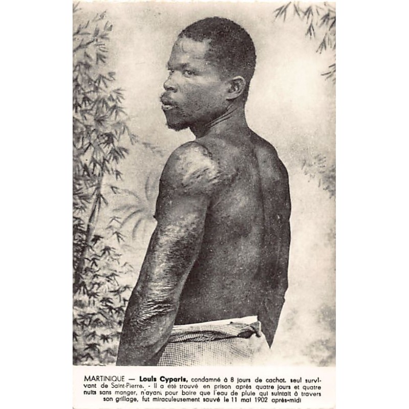 Rare collectable postcards of Martinique. Vintage Postcards of Martinique