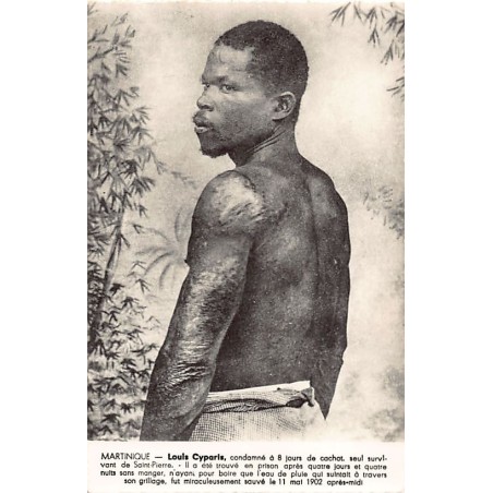 Rare collectable postcards of Martinique. Vintage Postcards of Martinique