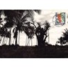 Rare collectable postcards of Comoros. Vintage Postcards of Comoros