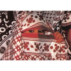 Rare collectable postcards of Comoros. Vintage Postcards of Comoros