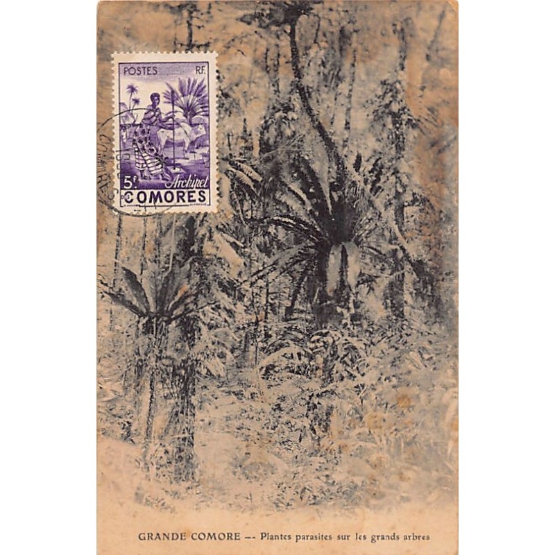 Rare collectable postcards of Comoros. Vintage Postcards of Comoros