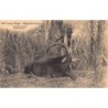 Rare collectable postcards of Congo - Kinshasa (Zaire). Vintage Postcards of Congo - Kinshasa (Zaire)