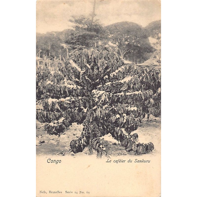 Rare collectable postcards of Congo - Kinshasa (Zaire). Vintage Postcards of Congo - Kinshasa (Zaire)