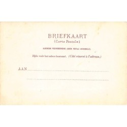 Rare collectable postcards of NEDERLAND. Vintage Postcards of NEDERLAND