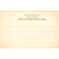 Rare collectable postcards of NEDERLAND. Vintage Postcards of NEDERLAND