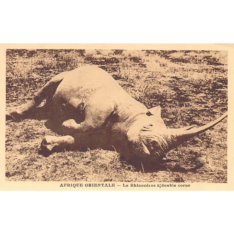 Rare collectable postcards of Kenya. Vintage Postcards of Kenya