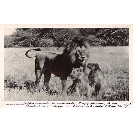 Rare collectable postcards of Kenya. Vintage Postcards of Kenya