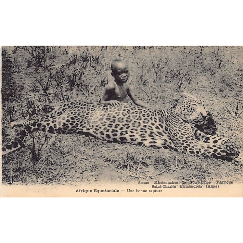 Rare collectable postcards of Kenya. Vintage Postcards of Kenya