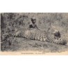 Rare collectable postcards of Kenya. Vintage Postcards of Kenya