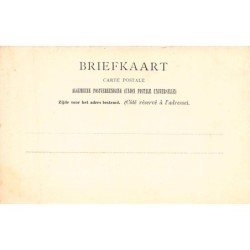 Rare collectable postcards of NEDERLAND. Vintage Postcards of NEDERLAND