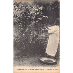 Rare collectable postcards of Kenya. Vintage Postcards of Kenya