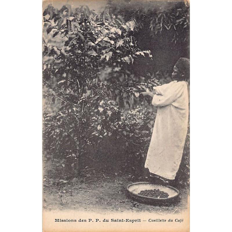 Rare collectable postcards of Kenya. Vintage Postcards of Kenya