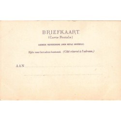 Rare collectable postcards of NEDERLAND. Vintage Postcards of NEDERLAND