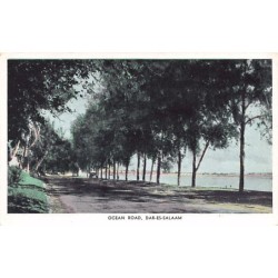 Rare collectable postcards of Tanzania. Vintage Postcards of Tanzania