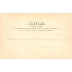 Rare collectable postcards of NEDERLAND. Vintage Postcards of NEDERLAND