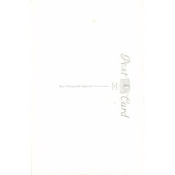 Rare collectable postcards of Tanzania. Vintage Postcards of Tanzania