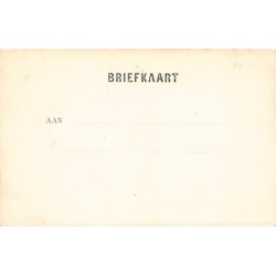 Rare collectable postcards of NEDERLAND. Vintage Postcards of NEDERLAND