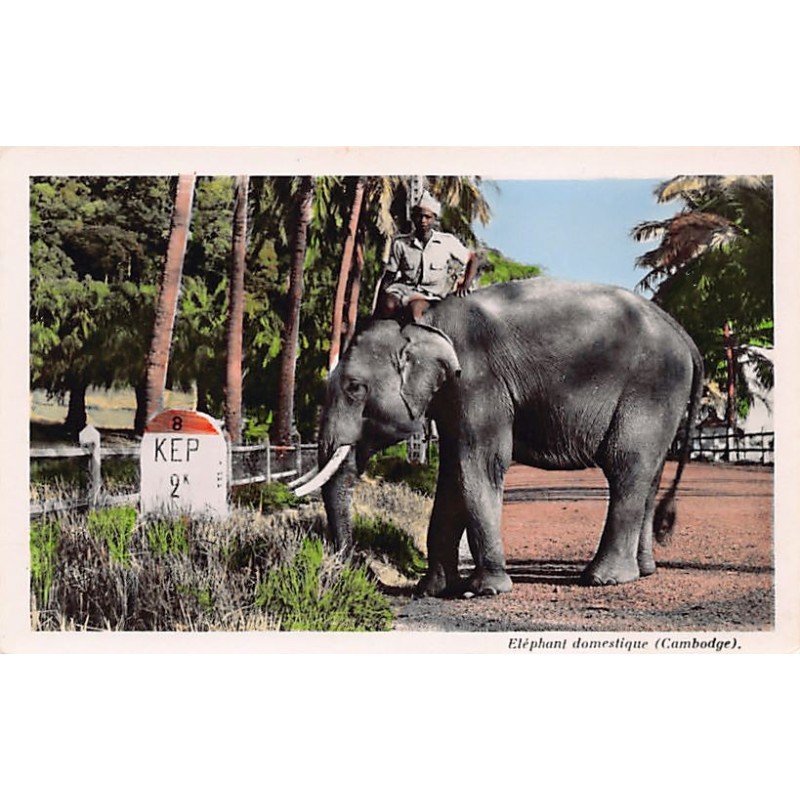 Rare collectable postcards of Cambodia. Vintage Postcards of Cambodia