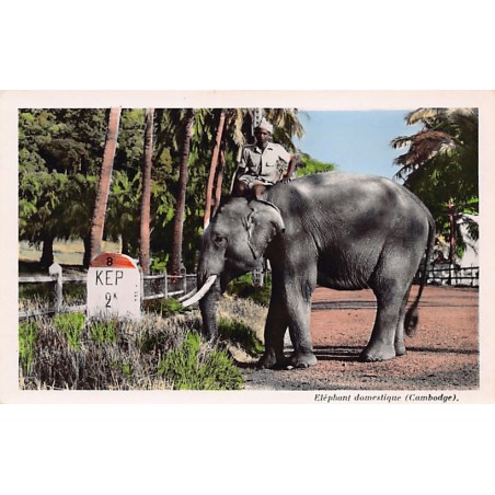 Rare collectable postcards of Cambodia. Vintage Postcards of Cambodia
